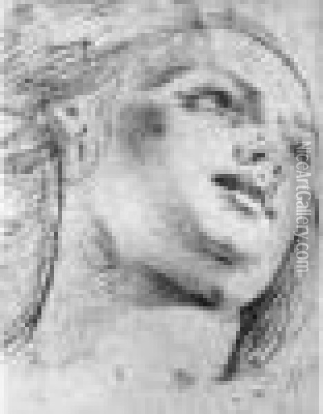 Tete De Femme Fusain Sur Papier Beige Oil Painting - Domenico Zampieri (Domenichino)