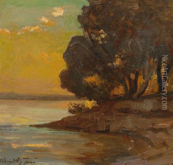 Abendliches Uferstuck Oil Painting - Jenoe Karpathy