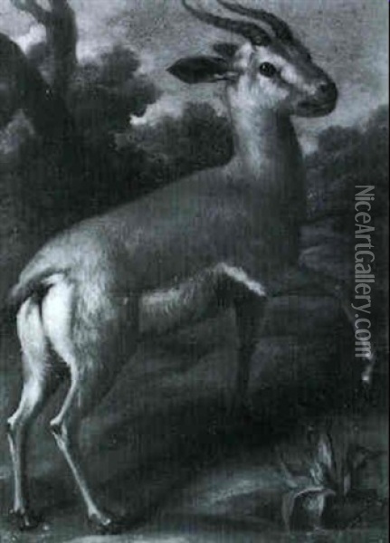 Bergziege In Einer Waldlandschaft Oil Painting - Johann Elias Ridinger