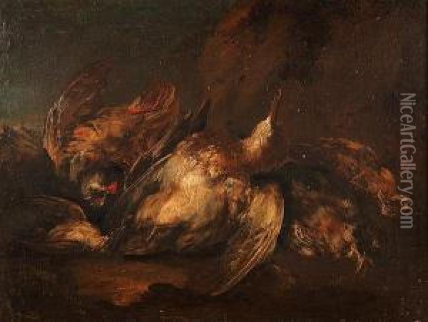 Natura Morta Con Selvaggina Di Penna Oil Painting - Angelo Maria Crivelli, Il Crivellone