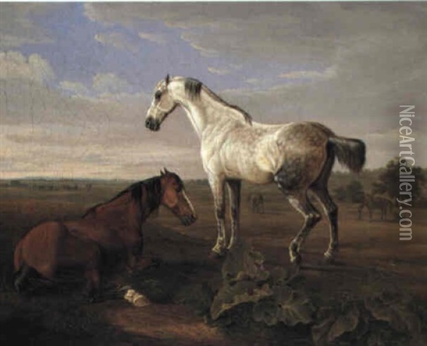 Horses In A Field Oil Painting - Albrecht Adam