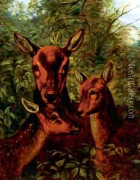 A Mother Doe With Her Fawns Oil Painting - Clarence Henry Roe