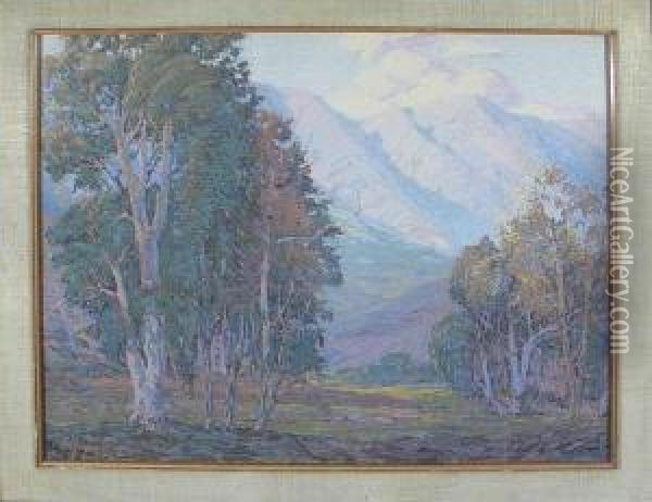 Eucalyptus In The Foothills Oil Painting - Fred Grayson Sayre