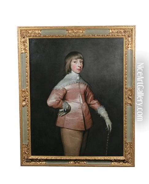 Portrait Of A Young Gentleman In Pink Satin Costume With A White Lace Collar Oil Painting - Jan Mytens