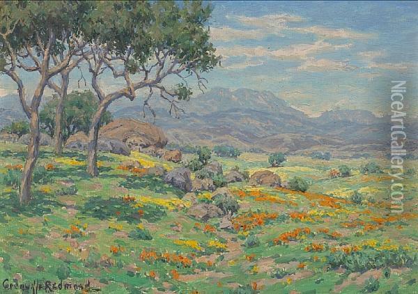 California Wildflowers In An Extensive Landscape Oil Painting - Granville Redmond