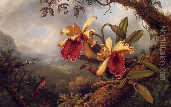Orchids And Hummingbird3 Oil Painting - Martin Johnson Heade