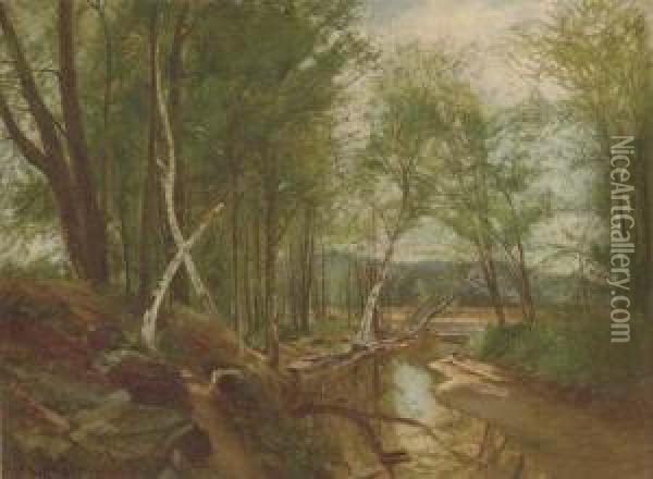 Birch Trees Along A Tributary Oil Painting - William Howard Hart
