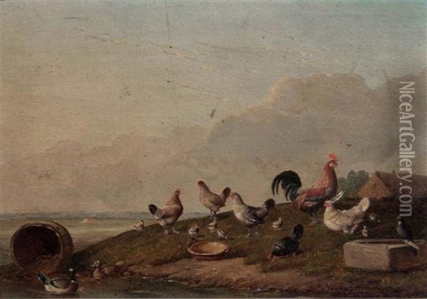 Chickens And Cockerel In A River Landscape Oil Painting - Franz van Severdonck