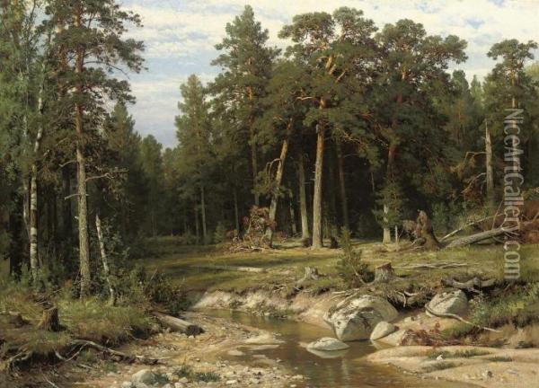 Mast Pine Forest In Viatka Province Oil Painting - Ivan Shishkin
