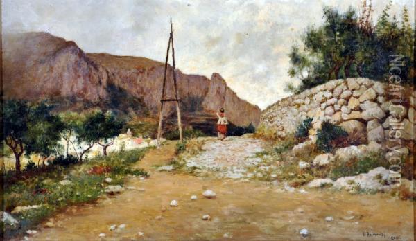 Paesaggio Di Capri Oil Painting - Elviro Raimondi