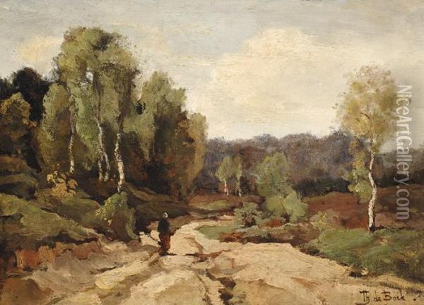 Sandy Path At The Edge Of The Moor Oil Painting - Theophile Emile Achille De Bock