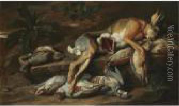 A Still Life With A Hare And Other Dead Game Oil Painting - Jacob van der (Giacomo da Castello) Kerckhoven