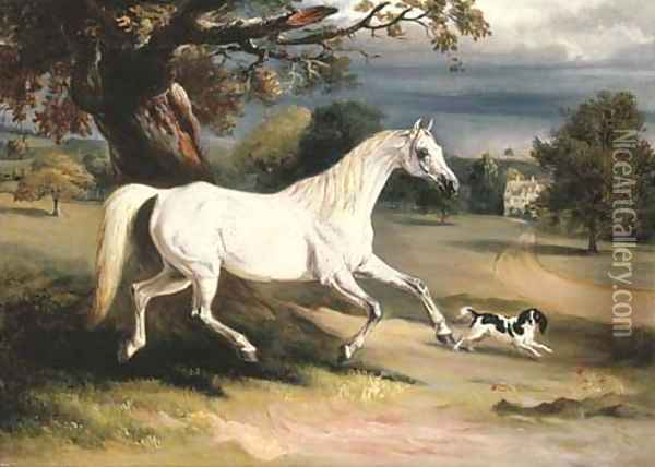 Mr. Dawson's Phoebus, a grey hunter with a spaniel, in the grounds of Launde Abbey, Leicestershire Oil Painting - John Snr Ferneley