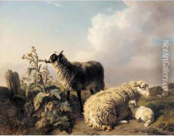 Les Moutons Oil Painting - Edmond Jean Baptiste Paulin