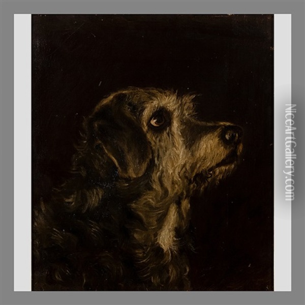 Dog's Head, Kekku Oil Painting - Maria Wiik