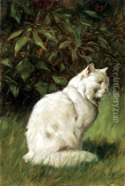 The Persian Cat Oil Painting - Arthur Heyer