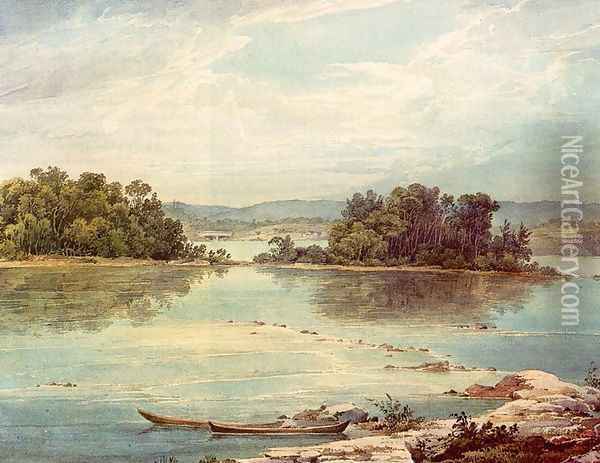 Susquehanna near Harrisburg, Pennsylvania Oil Painting - Karl Bodmer