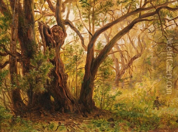 Lorbeerbaum In Den Waldern Bei San Mateo In Kalifornien Oil Painting - Josef Hoffmann