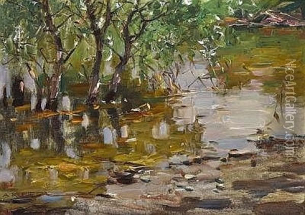 Insel Im Hochwasser Oil Painting - Alexander Max Koester