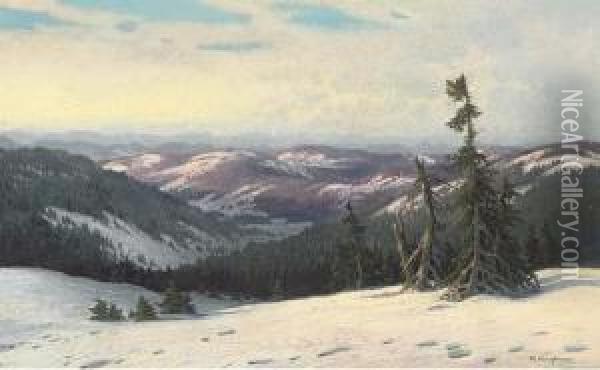 An Alpine Forest Oil Painting - Karl Hauptmann
