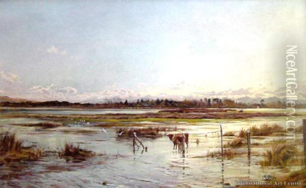 Mount Pleasant Estuary Oil Painting - John Mcintosh Madden