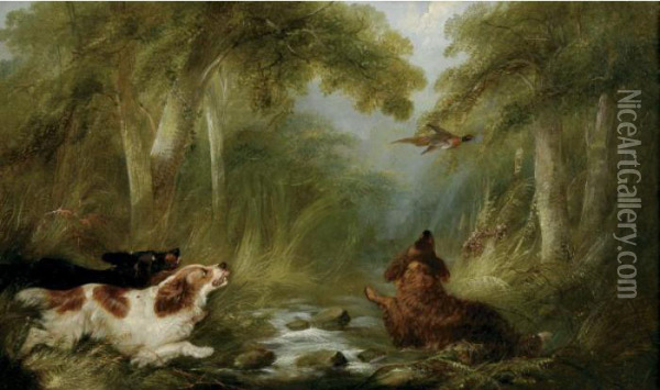 Pheasant Hunting Oil Painting - George Armfield