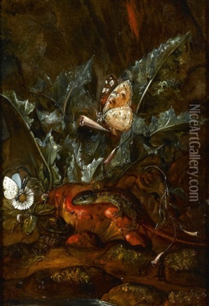 A Forest Floor With Snake, Butterfly And Lizard; Also A Companion Painting By The Same Hand Oil Painting - Carl Wilhelm de Hamilton