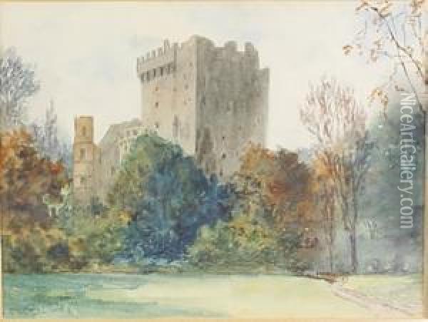 Blackrock Castle, Cork Oil Painting - Douglas Alexander