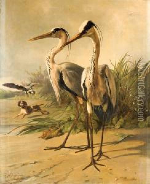 Deux Herons, Un Chien De Chasse Et Un Oiseau Oil Painting - Guillaume Anne Van Der Brugghen