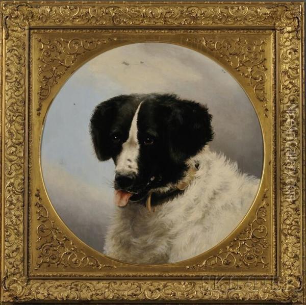 Portrait Of A Dog, After Edwin Henry Landseer (british, 1802-1873) Oil Painting - Anne Cathrow