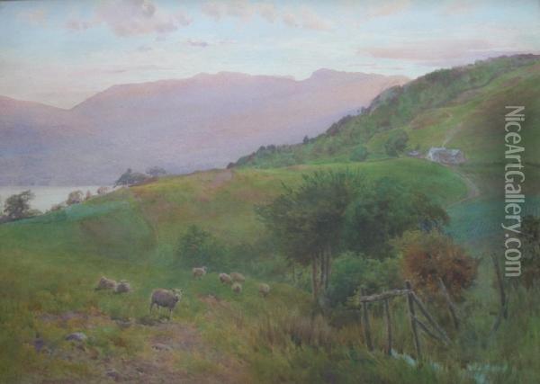 Sheep At Sundown Oil Painting - Cuthbert Rigby