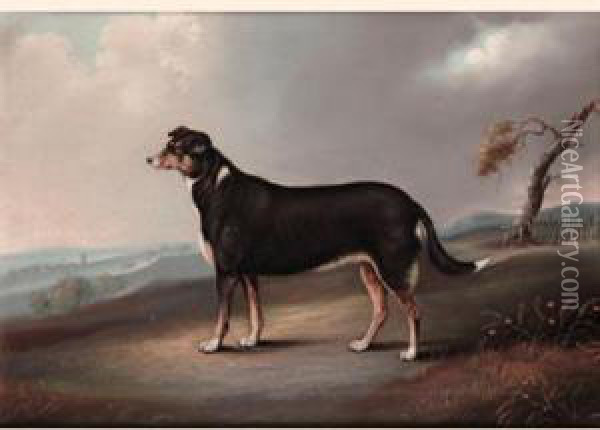 Dog In A Landscape Oil Painting - Samuel Spode