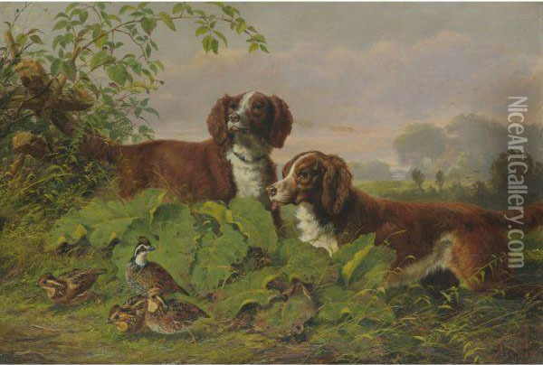 Two Setters And Quail Oil Painting - Arthur Fitzwilliam Tait