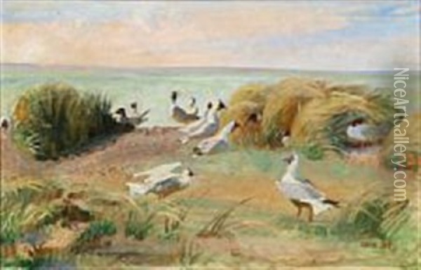 A Flock Of Seagulls At The Beach Oil Painting - Elise Konstantin Hansen