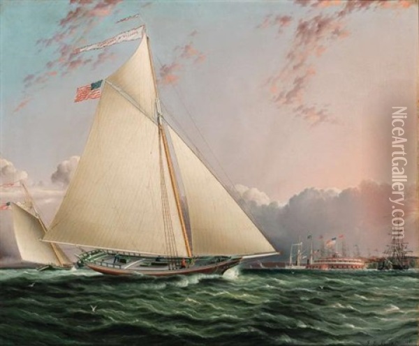 The Phillip R. Paulding In New York Harbor With Castle Clinton In The Distance Oil Painting - James Edward Buttersworth