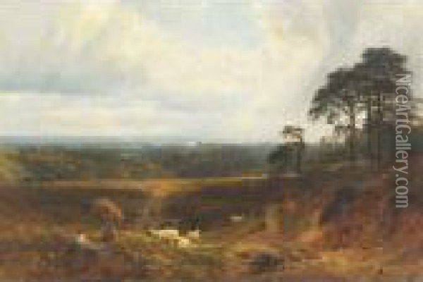 A Surrey Landscape Oil Painting - George Vicat Cole