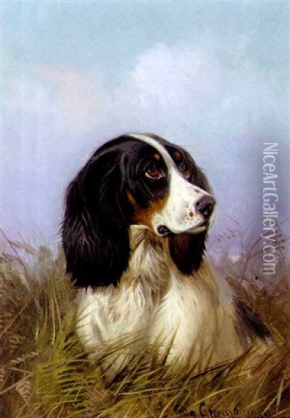 A Black And White Setter Oil Painting - Colin Graeme