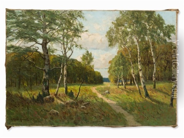 Birches At The Forest Oil Painting - Paul Mueller-Kaempff