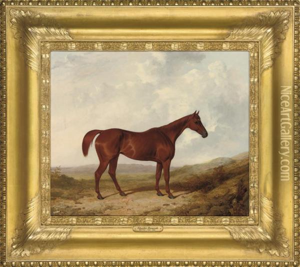 A Chestnut Hunter In A Landscape Oil Painting - Charles Hancock