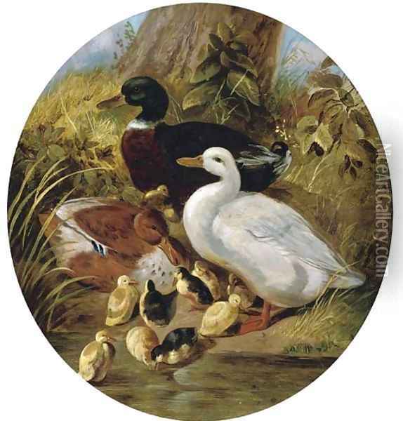 The bank of the duck pond Oil Painting - John Frederick Herring