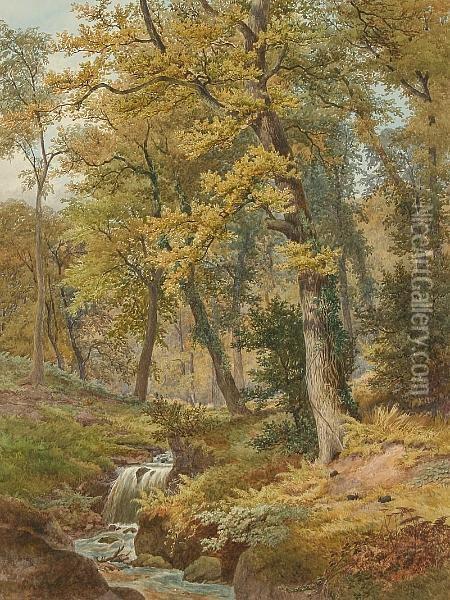 A Woodland Stream Oil Painting - William Wilde