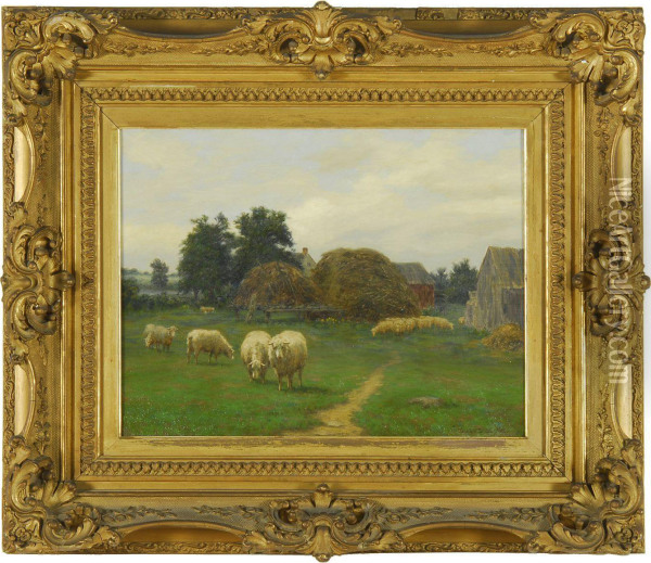 Farmyard Scene With Grazing Sheep Oil Painting - Silas Dustin