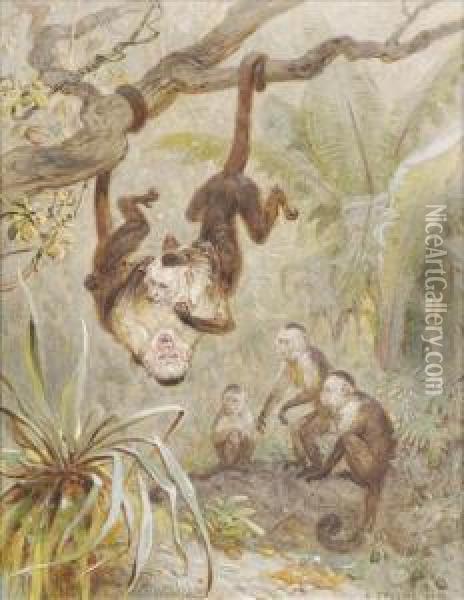 Monkeys At Play Oil Painting - Ernst Christian Specht