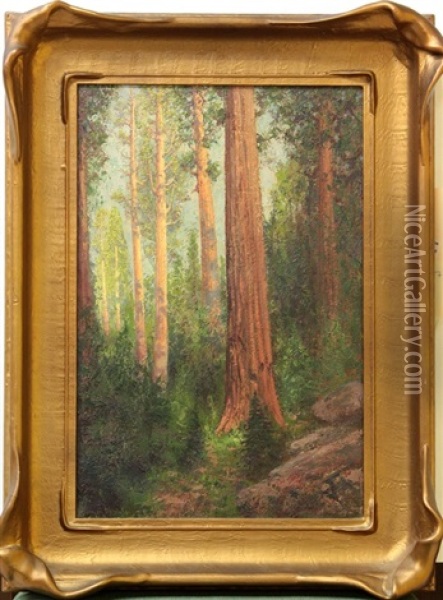 Redwoods Oil Painting - Charles Dorman Robinson