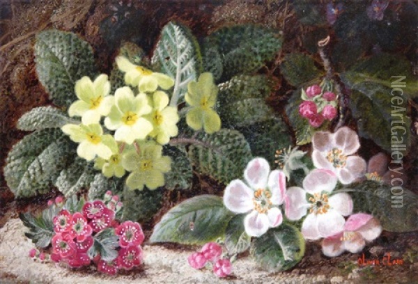 Primroses And Plums On A Mossy Bank (pair) Oil Painting - Oliver Clare
