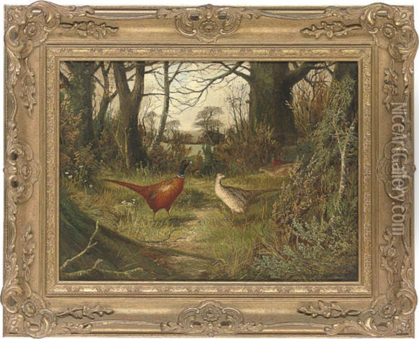 Pheasants On A Wooded Path With A Gate Beyond Oil Painting - Benjamin, Ben Hold