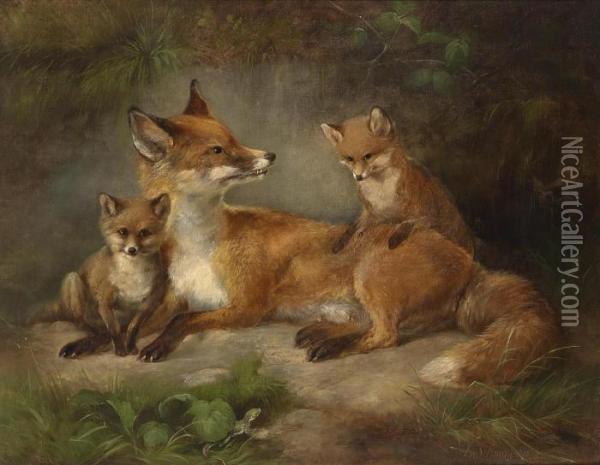 Family Of Foxes Oil Painting - Ludwig Sellmayr