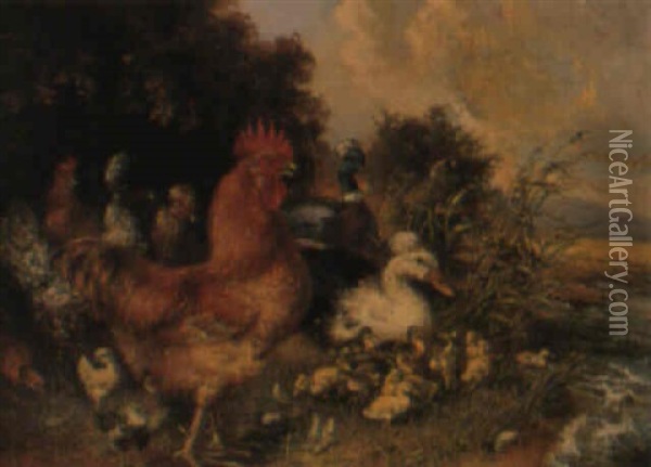 Federvieh Oil Painting - Julius Scheuerer