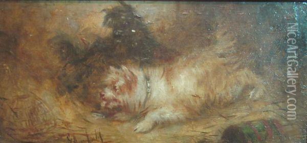 Study Of Two Terriers Oil Painting - George Armfield