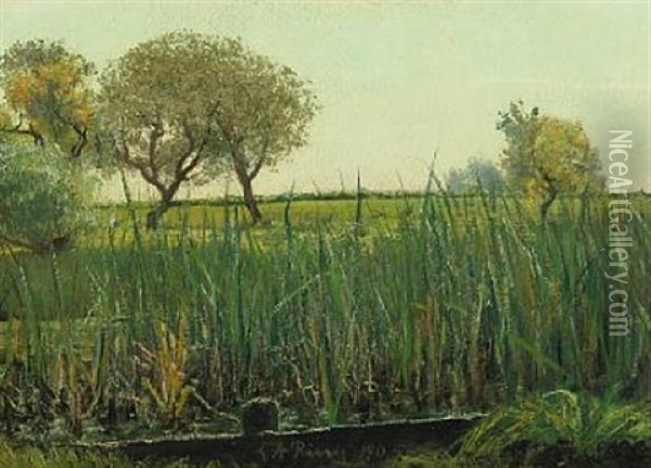 Meadow Oil Painting - Laurits Andersen Ring